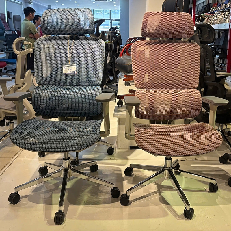 Ghế công thái học A548